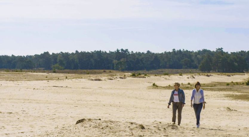 Photo of Just Nature 4