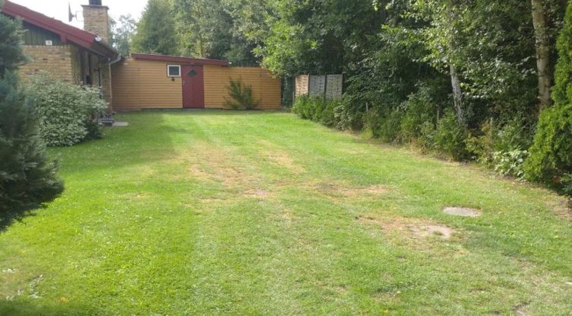 Photo of "Kasper" - 700m from the sea