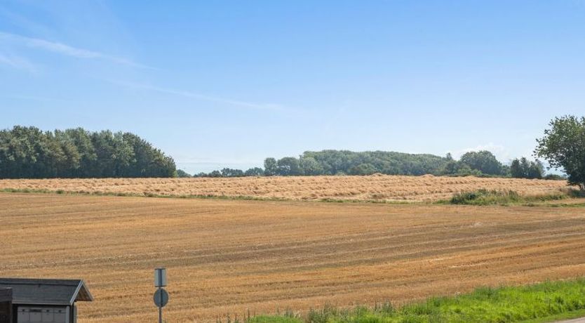 Photo of "Wilmar" - 380m from the sea