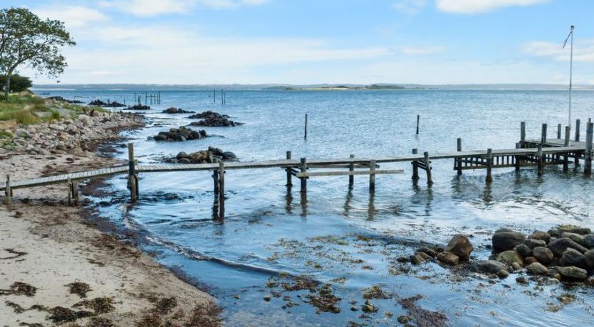 Photo of "Dorathea" - 360m from the sea