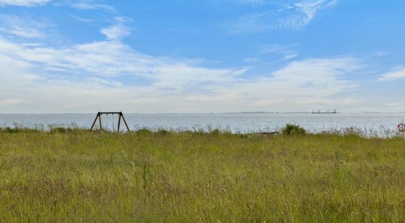 Photo of "Mato" - 100m from the sea