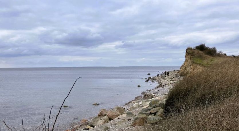 Photo of "Benedikt" - 150m from the sea