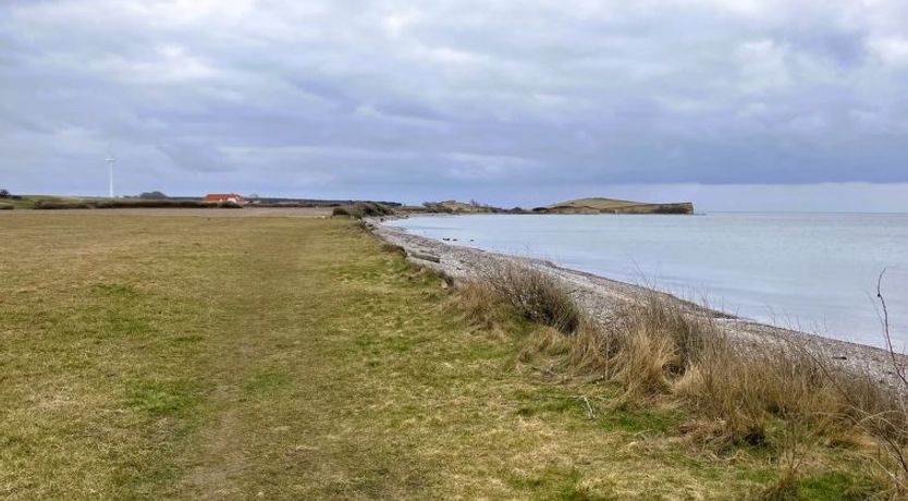 Photo of "Benedikt" - 150m from the sea