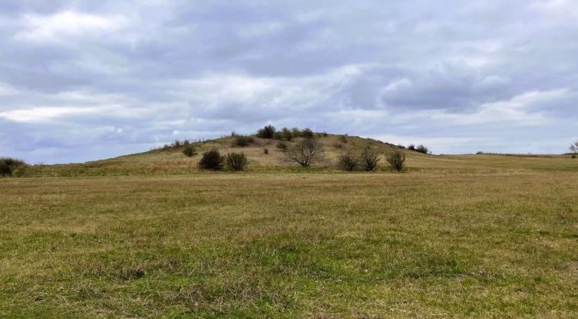 Photo of "Benedikt" - 150m from the sea