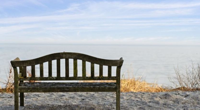 Photo of "Viveke" - 10m from the sea