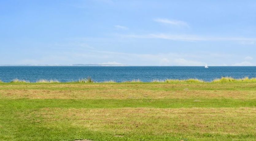 Photo of "Todor" - 150m from the sea