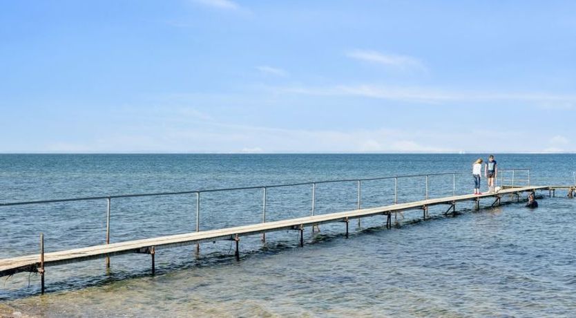 Photo of "Todor" - 150m from the sea