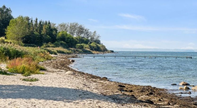 Photo of "Todor" - 150m from the sea