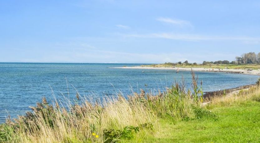 Photo of "Todor" - 150m from the sea