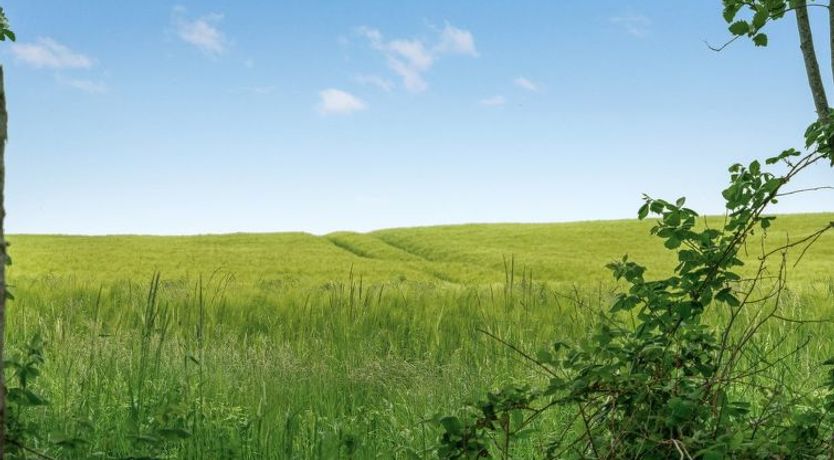 Photo of "Thorwer" - 250m from the sea