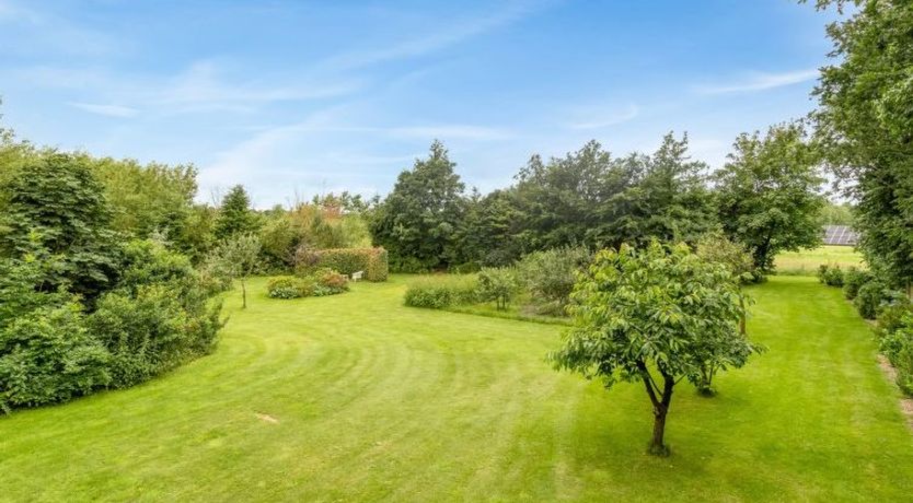 Photo of "Saran" - 30km from the sea