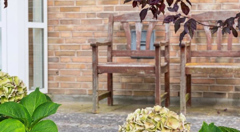 Photo of "Agneta" - 150m from the sea