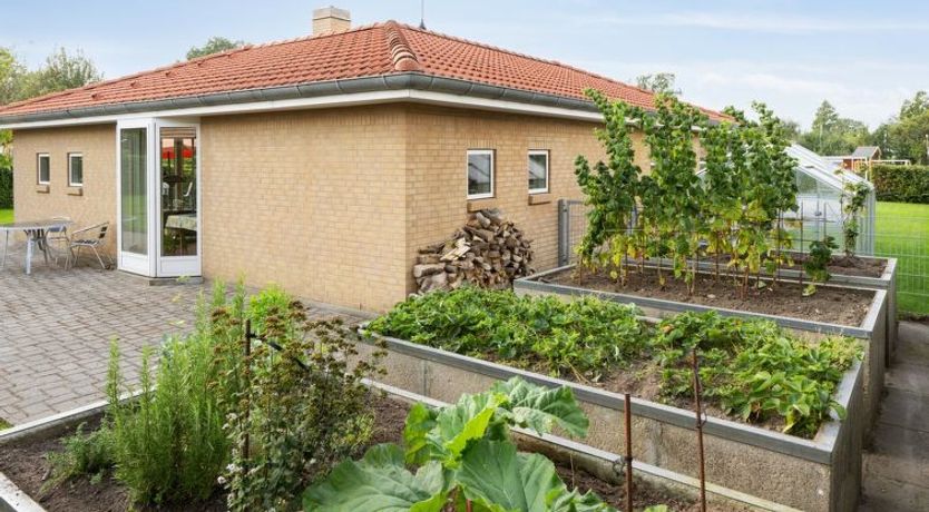 Photo of "Kalli" - 100m from the sea