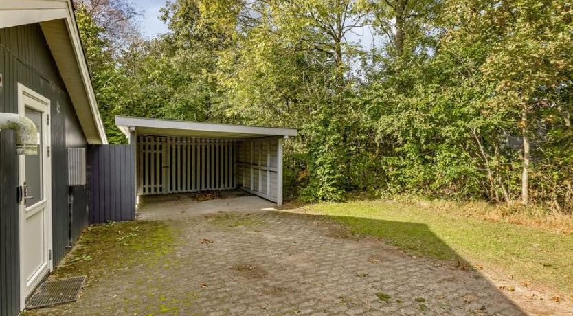 Photo of "Dimo" - 30km from the sea