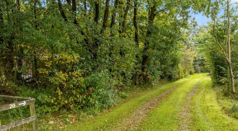 Photo of "Dimo" - 30km from the sea