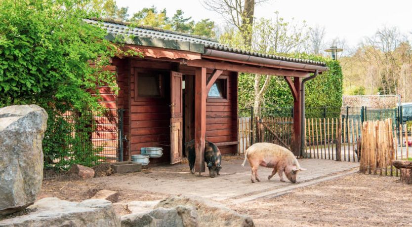 Photo of Boekhorst Royal 6 Holiday Home 9