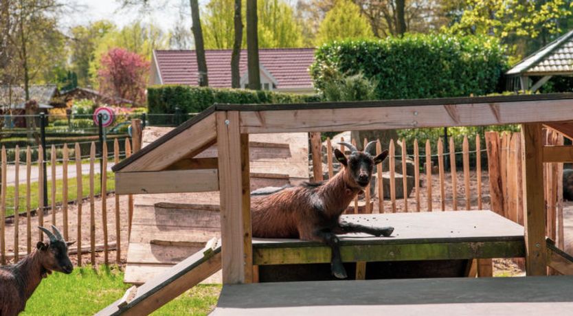 Photo of Boekhorst Royal 6 Holiday Home 9