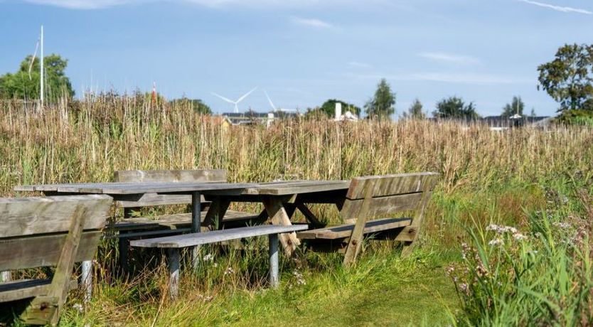 Photo of "Gyrth" - 20m to the fjord