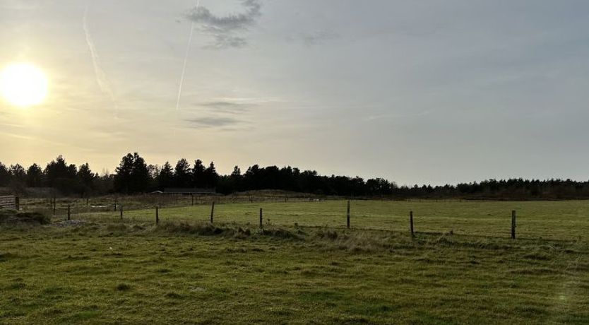 Photo of "Sönke" - 4km from the sea