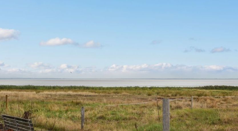 Photo of "Baltser" - 5km from the sea