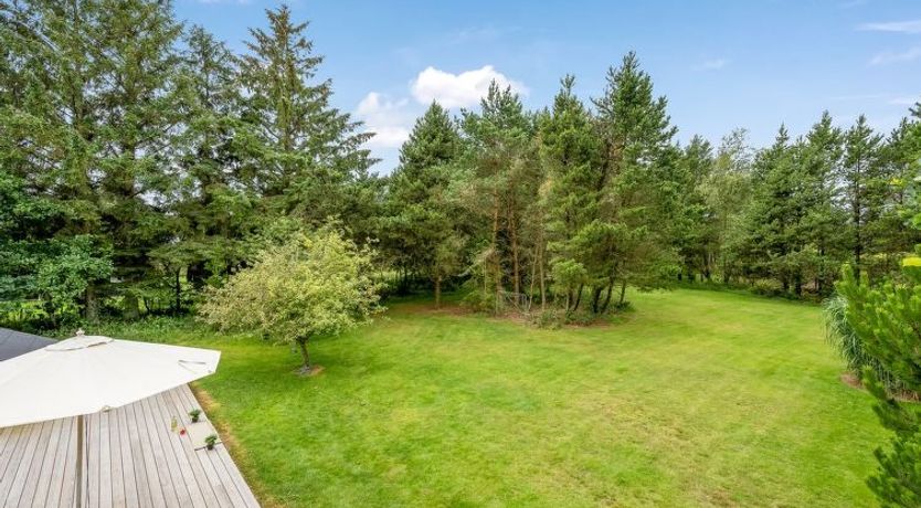 Photo of "Ljiljana" - 2km from the sea