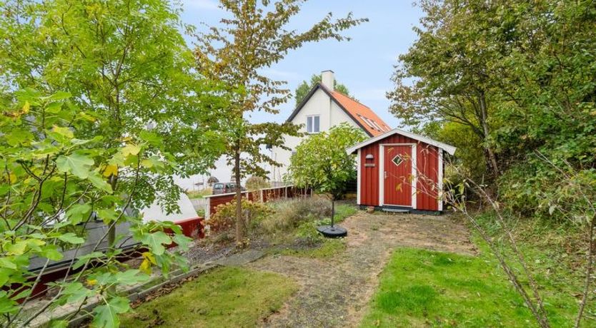 Photo of "Malila" - 15m from the sea