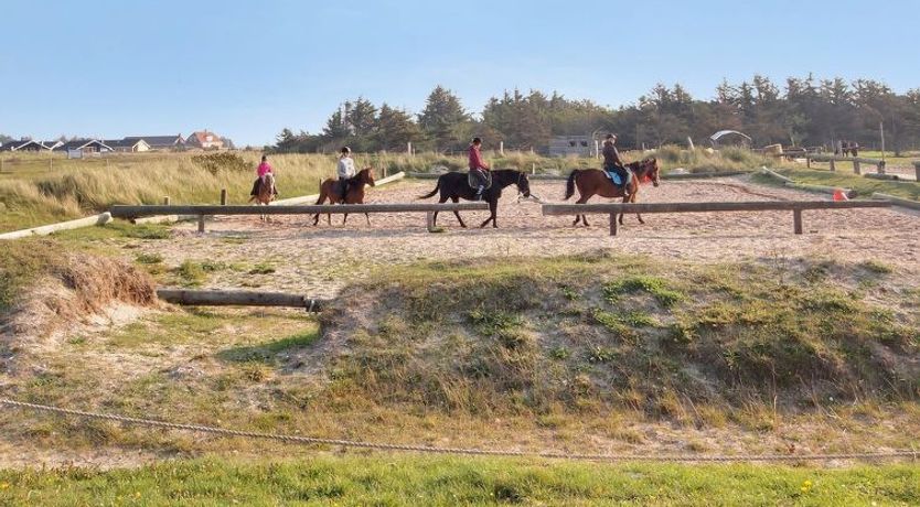 Photo of "Dorothea" - 450m to the fjord