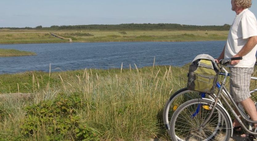 Photo of "Dorothea" - 450m to the fjord