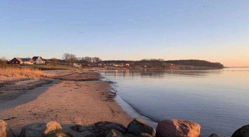 Photo of "Ovine" - 300m from the sea