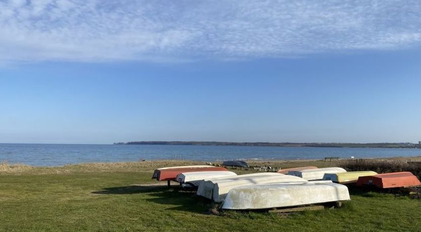 Photo of "Ovine" - 300m from the sea