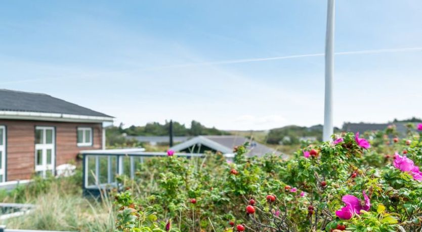 Photo of "Stener" - 250m from the sea