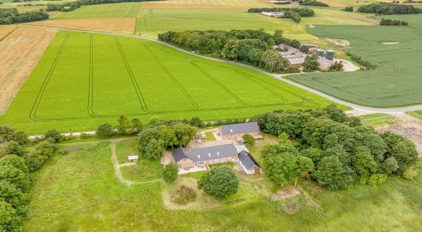 Photo of "Geraldine" - 3.5km to the fjord