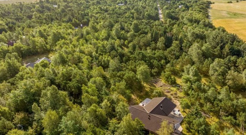 Photo of "Guri" - 600m to the fjord