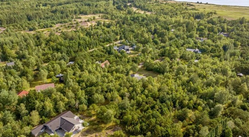 Photo of "Guri" - 600m to the fjord