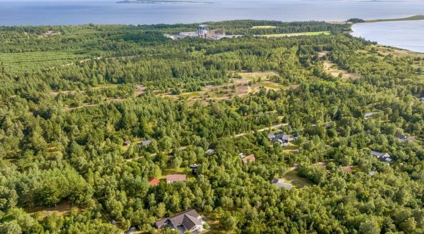 Photo of "Guri" - 600m to the fjord