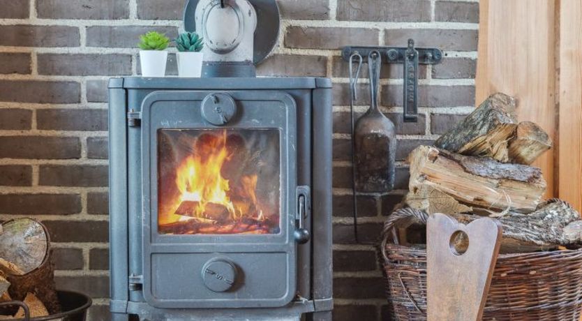 Photo of "Asel" - 25m from the sea