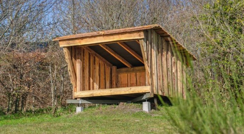 Photo of "Asel" - 25m from the sea