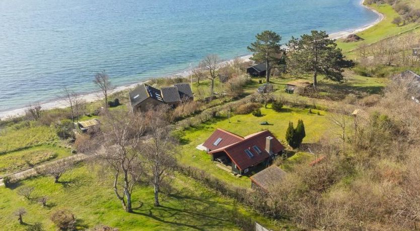 Photo of "Asel" - 25m from the sea