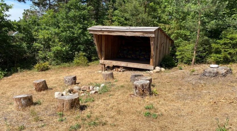 Photo of "Safir" - 800m from the sea