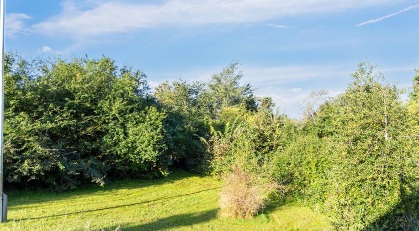 Photo of "Carolin" - 300m from the sea