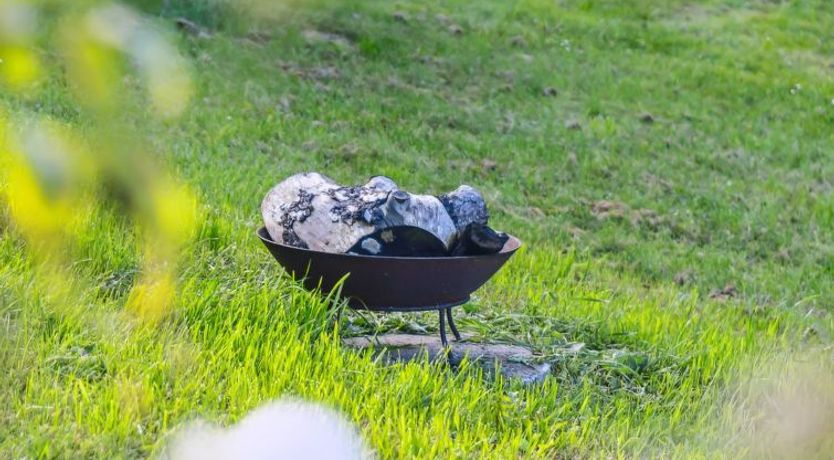 Photo of "Carolin" - 300m from the sea