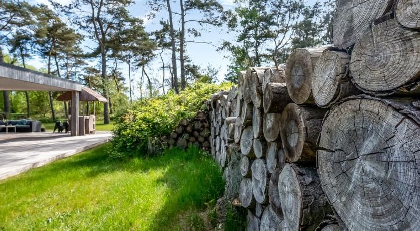 Photo of "Sylva" - 150m from the sea