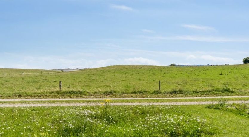 Photo of "Bæver" - 200m from the sea