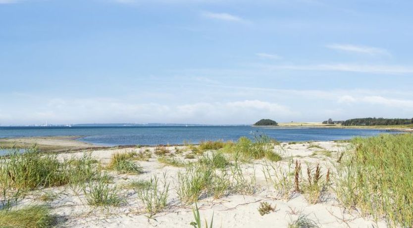 Photo of "Nilson" - 50m from the sea