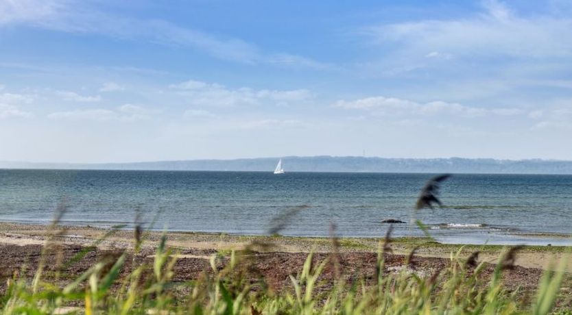 Photo of "Nilson" - 50m from the sea