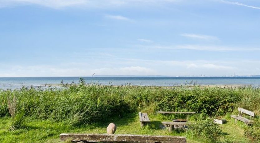 Photo of "Nilson" - 50m from the sea