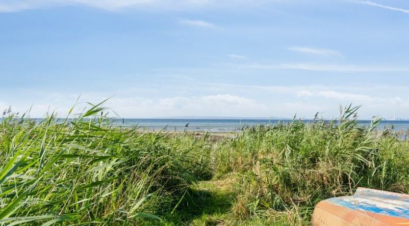 Photo of "Nilson" - 50m from the sea