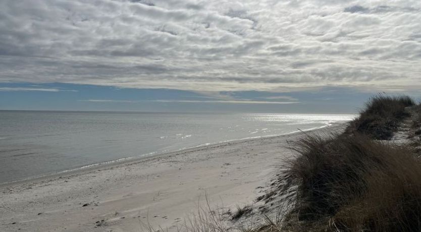 Photo of "Frido" - 500m from the sea