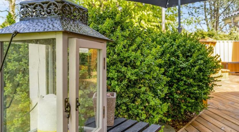 Photo of "Nico" - 1.1km from the sea