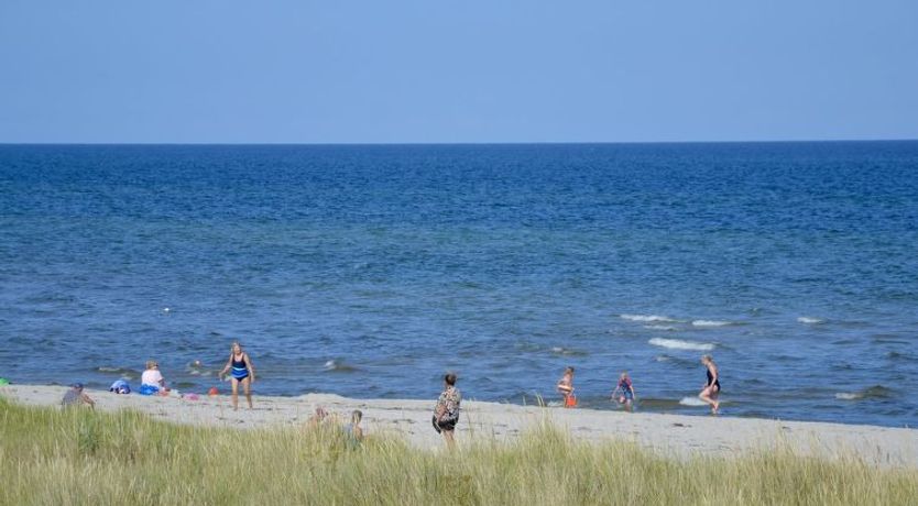 Photo of "Jaane" -  from the sea